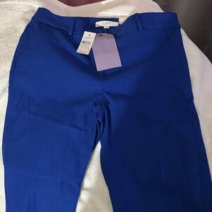LOFT Men's Vibrant Blue Chinos